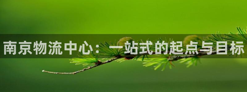 超凡国际为什么打不开：南京物流中心：