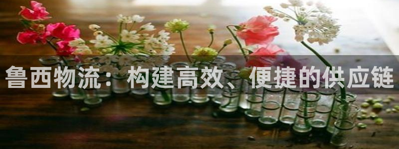 超凡国际是南宫旗下的吗：鲁西物流：构