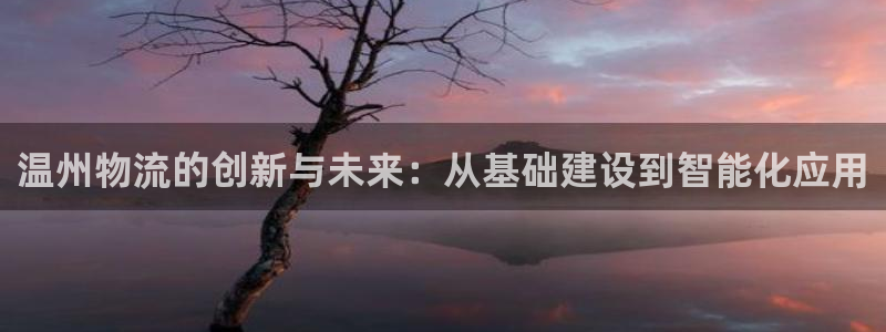 超凡国际官网多少：温州物流的创新与未