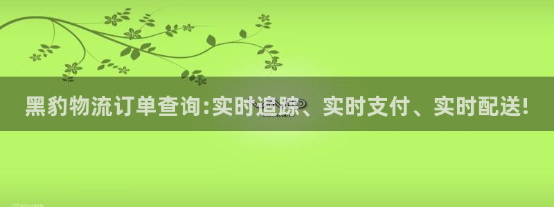 超凡国际加拿大app预测：黑豹物流订