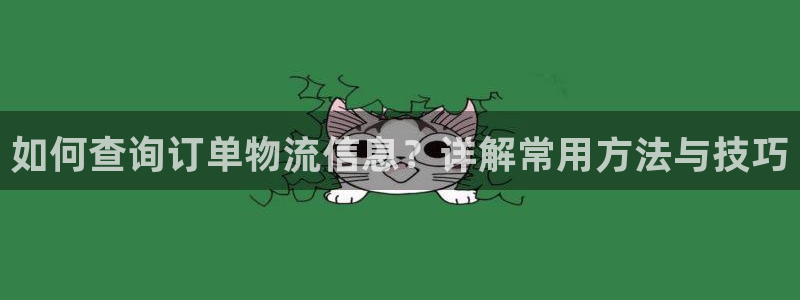 超凡国际在线预测官网：如何查询订单物