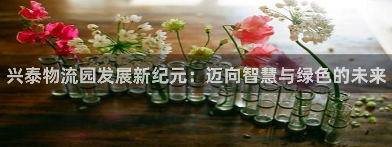 超凡国际链接多少：兴泰物流园发展新纪