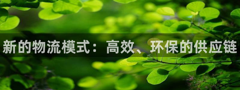 超凡国际是干嘛的：新的物流模式：高效