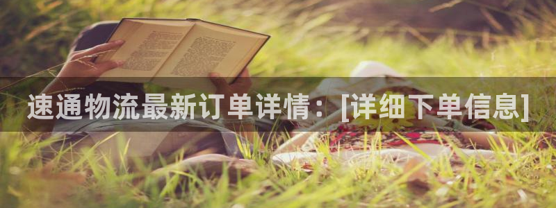 超凡国际模拟器在线使用：速通物流最新