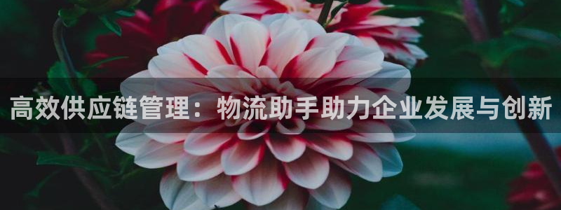 超凡国际机器人是什么软件：高效供应链