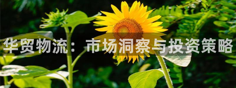 超凡国际官网入口pc29官网版：华贸