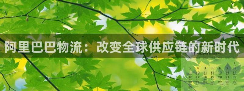 超凡国际辅助：阿里巴巴物流：改变全球