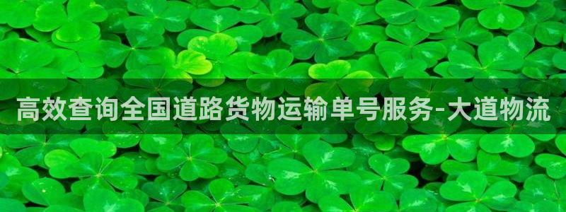 超凡国际注册链接教程：高效查询全国道