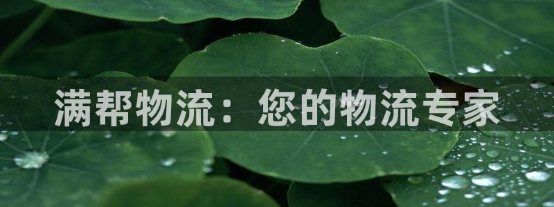 超凡国际注册链接教程：满帮物流：您的