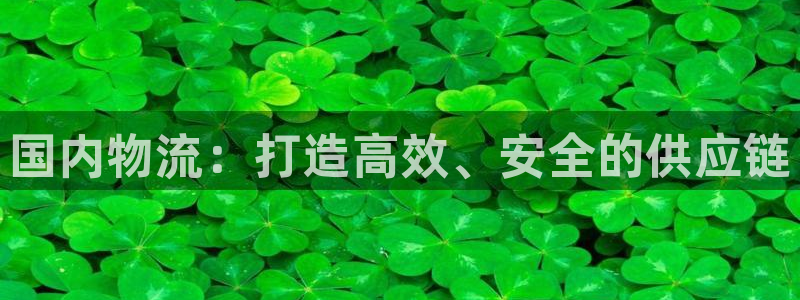 超凡国际是正规平台吗：国内物流：打造