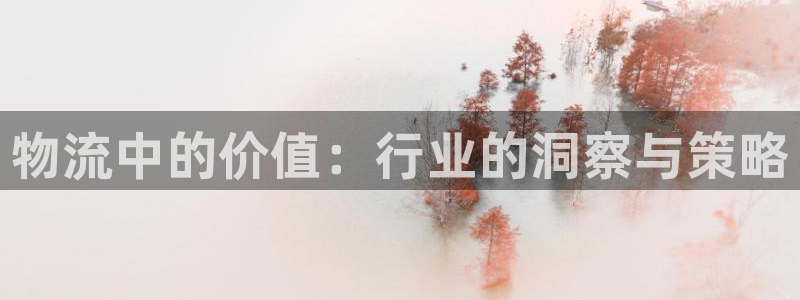 超凡国际ccm官网版：物流中的价值：