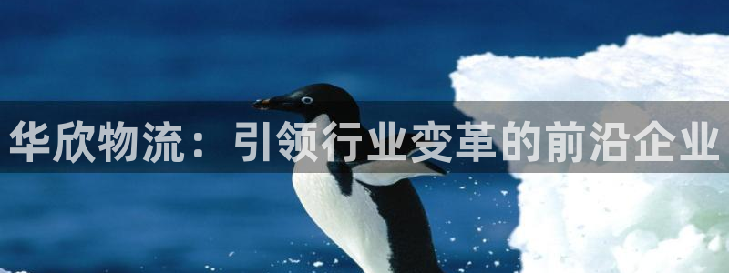 超凡国际游戏：华欣物流：引领行业变革