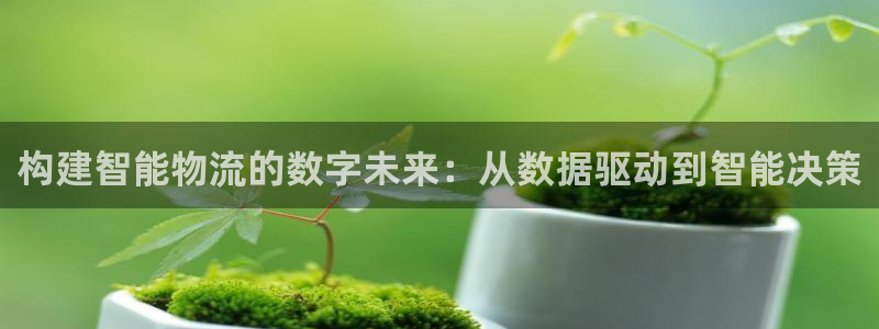 超凡国际登陆网：构建智能物流的数字未