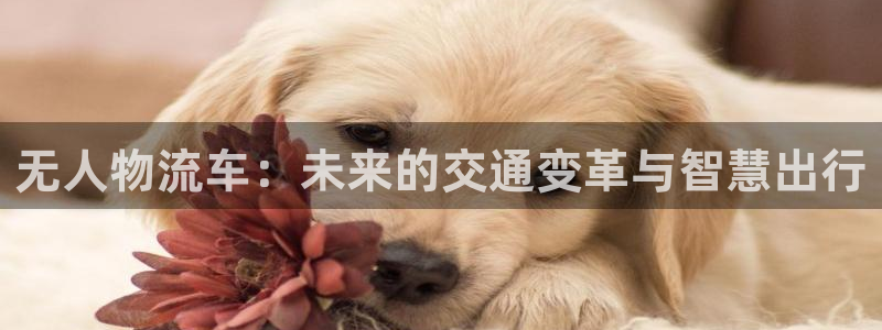 超凡国际网赌有什么风险：无人物流车：