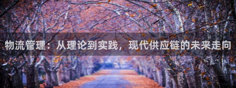 超凡国际加拿大官网：物流管理：从理论